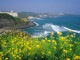 Jeju Island 03